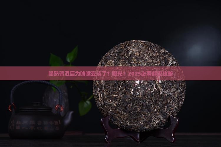 喝熟普洱茶后感觉口淡