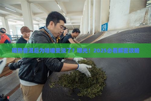喝熟普洱茶后感觉口淡