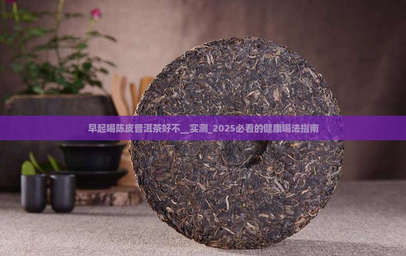 早起喝陈皮普洱茶好不