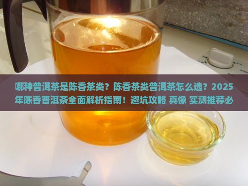 哪种普洱茶是陈香茶类