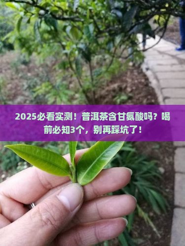 普洱茶含甘氨酸吗能喝吗