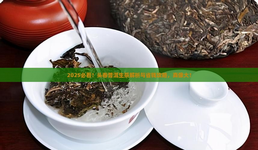 头春普洱茶生茶