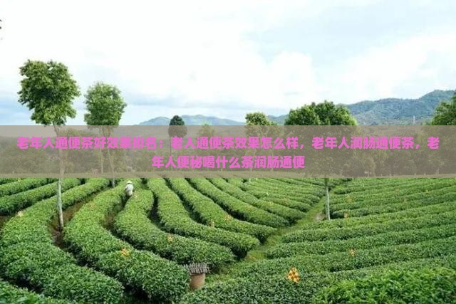 老年人通便茶好效果排名