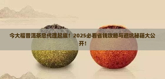 今大福普洱茶总代理