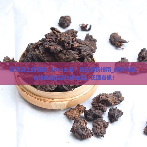 普洱茶上的霉斑