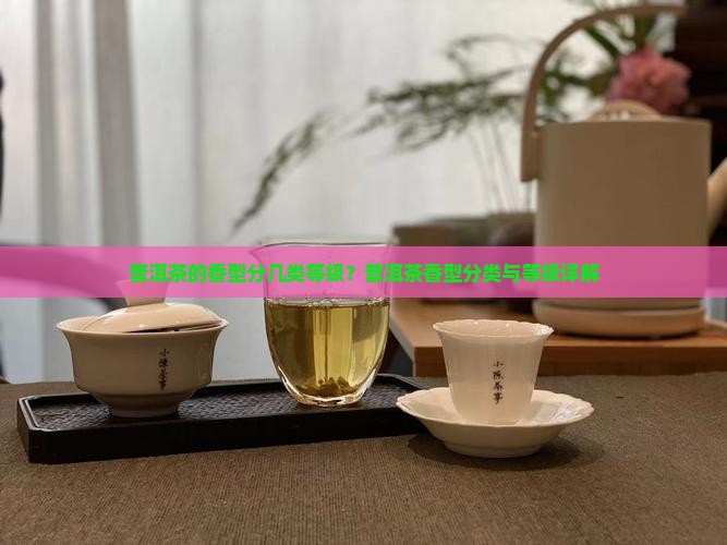 普洱茶的香型分几类等级
