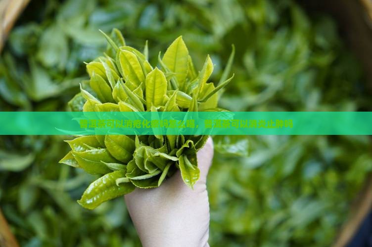 普洱茶可以消疮化瘀吗怎么喝