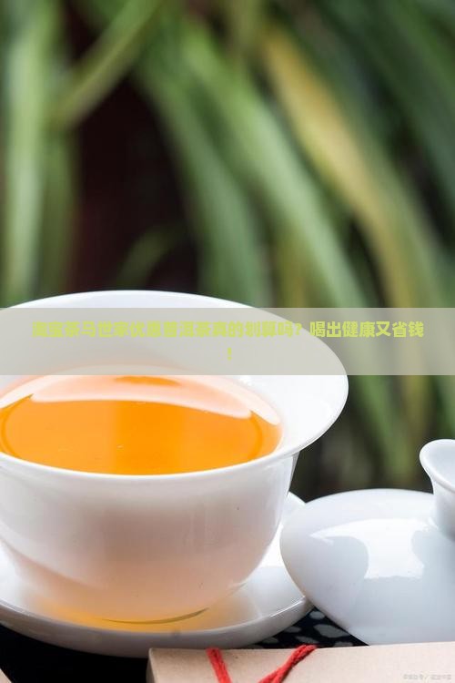 淘宝茶马世家优惠普洱茶