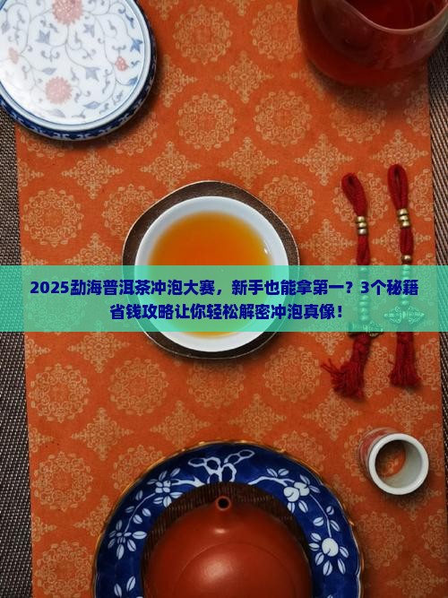 勐海普洱茶冲泡大赛