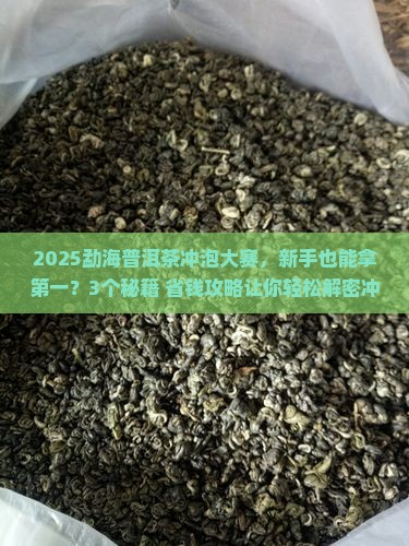 勐海普洱茶冲泡大赛