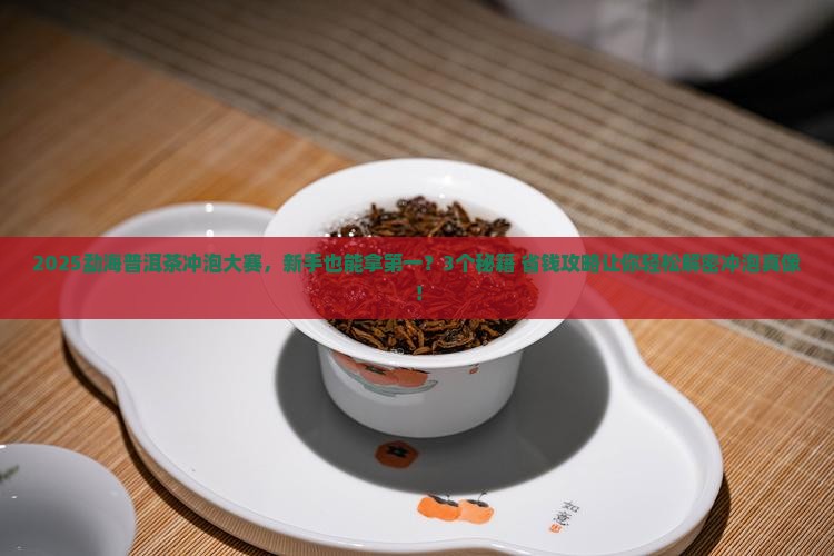 勐海普洱茶冲泡大赛