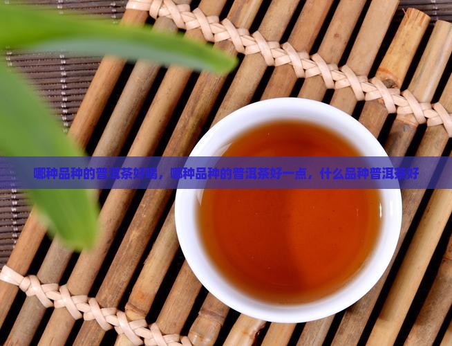 哪种品种的普洱茶好