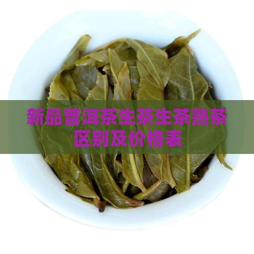 新品普洱茶生茶