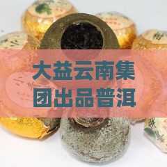 大益木佳普洱茶7572