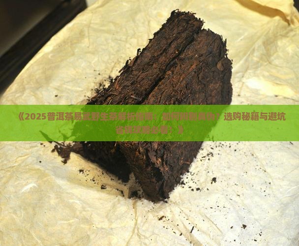 普洱茶易武野生茶