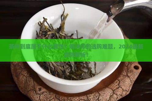 茶叶属于什么属性