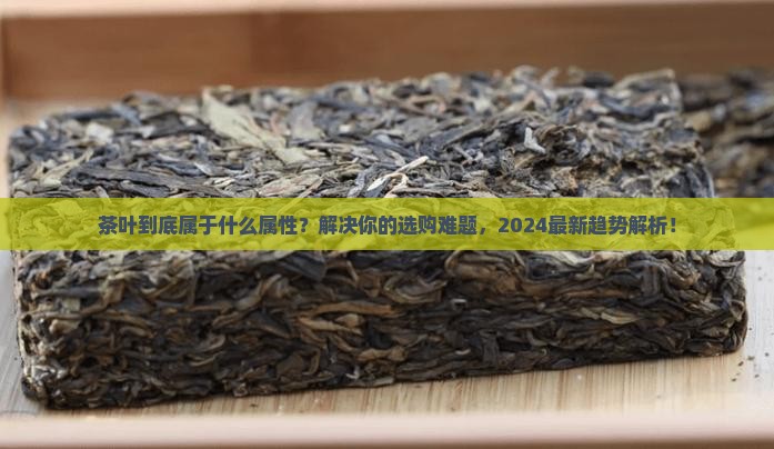 茶叶属于什么属性