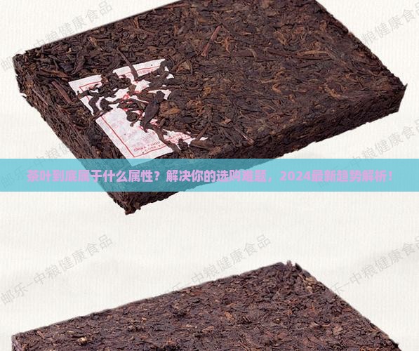 茶叶属于什么属性