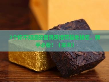 普洱茶培育基地