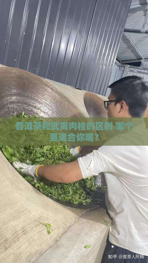 普洱茶和武夷肉桂的区别