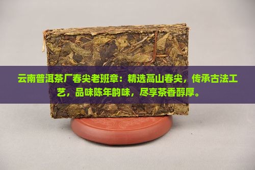 云南普洱茶厂春尖老班章