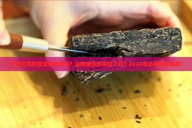 宁波可靠的普洱茶品牌有那些
