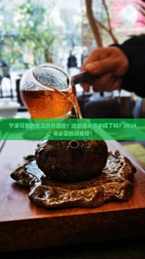 宁波可靠的普洱茶品牌有那些