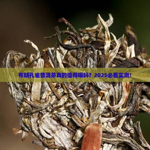 布朗孔雀普洱茶怎么样