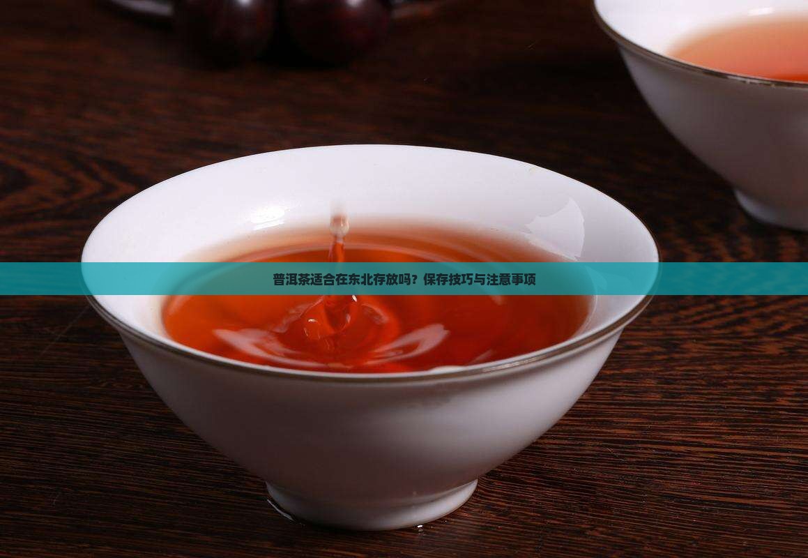 普洱茶适合在东北存放吗