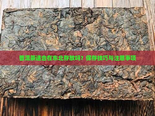 普洱茶适合在东北存放吗