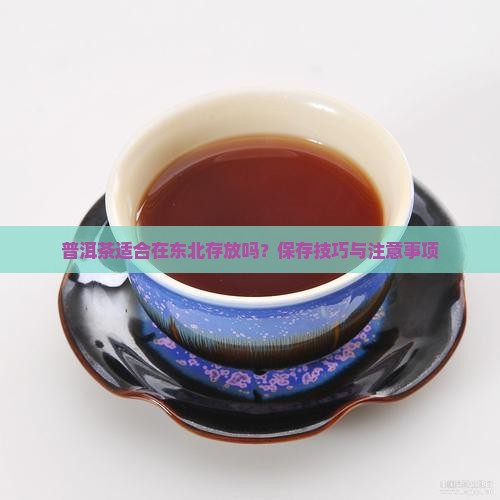 普洱茶适合在东北存放吗