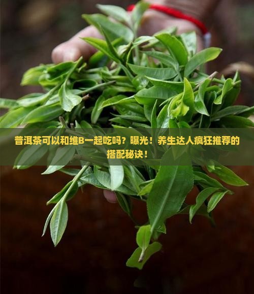 普洱茶可以和维b一起吃吗
