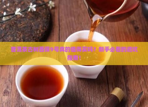 普洱茶古树西保9号