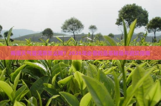 梅雨天气普洱茶