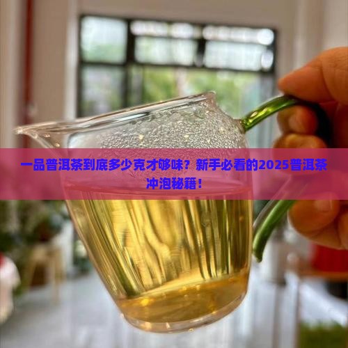 一品普洱茶多少克比较好