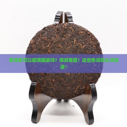 普洱茶可以玻璃罐装吗