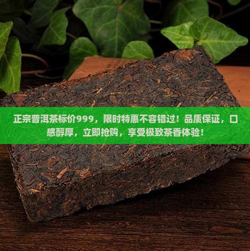 正宗普洱茶标价999