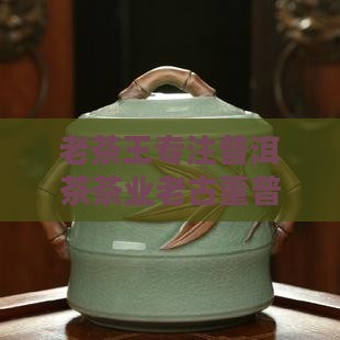 老茶王专注普洱茶