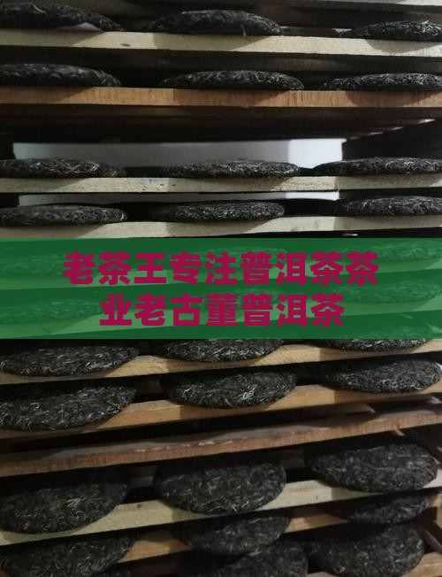 老茶王专注普洱茶