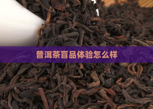 盲品普洱茶怎么样