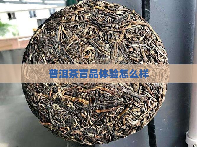 盲品普洱茶怎么样
