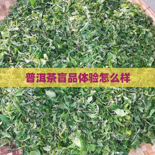 盲品普洱茶怎么样