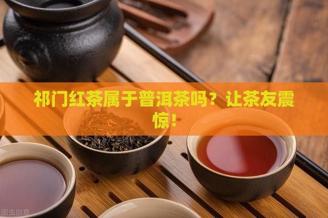 祁门红茶属于普洱茶吗为什么