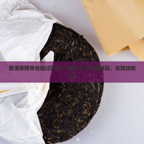 普洱茶晒青可以天