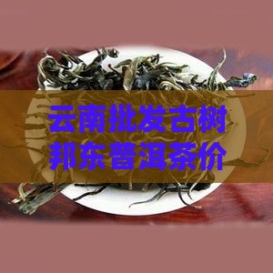 云南临沧邦东普洱茶价格