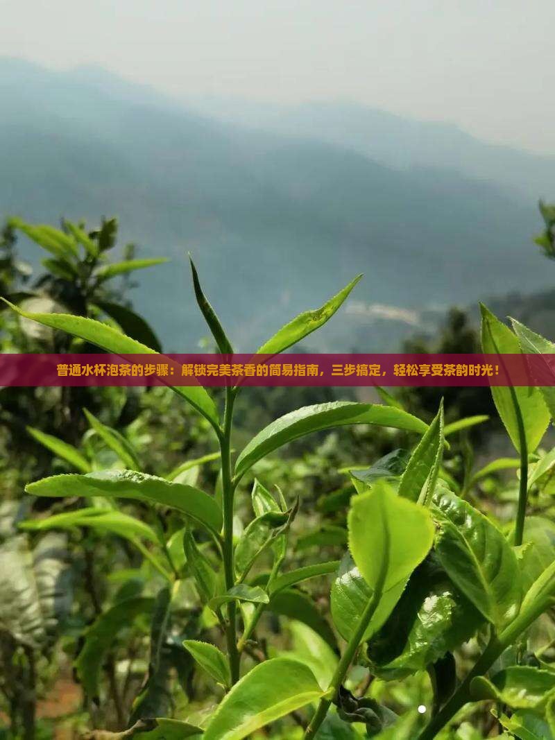 普通水杯泡茶的步骤