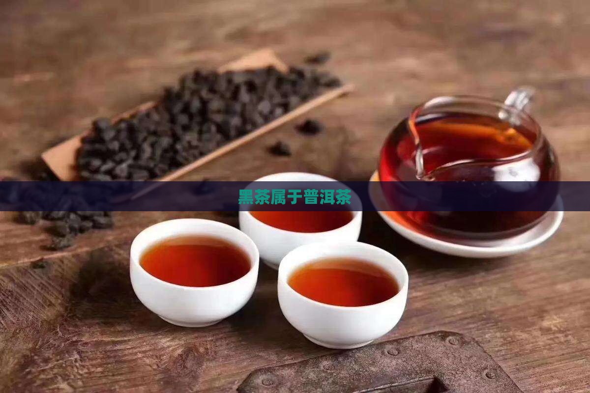 黑茶属于普洱茶