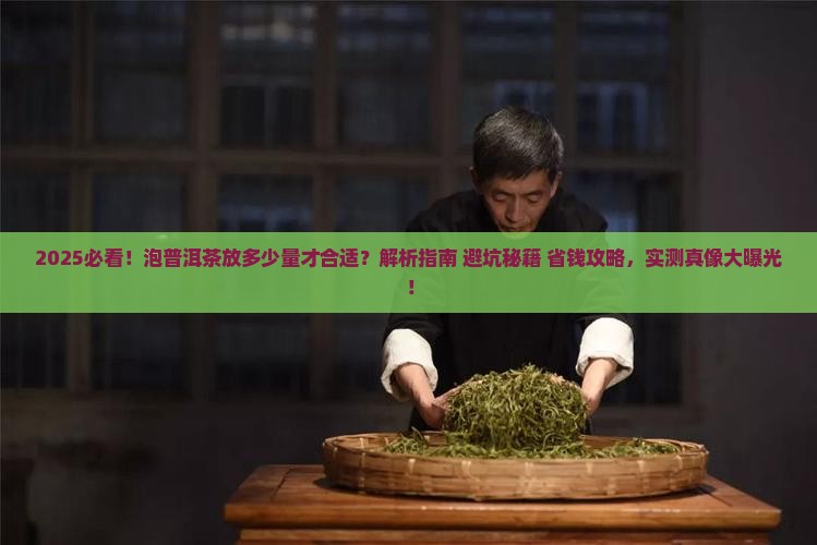 泡普洱茶放多少量