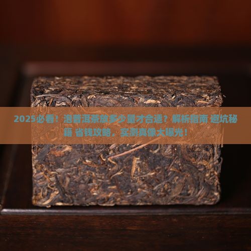 泡普洱茶放多少量