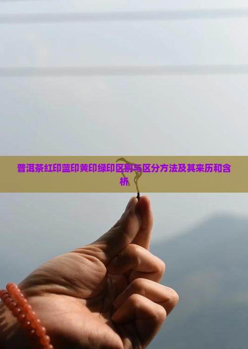 普洱茶红印蓝印黄印绿印